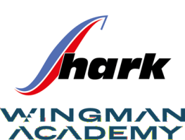 Training WingmanAcademy